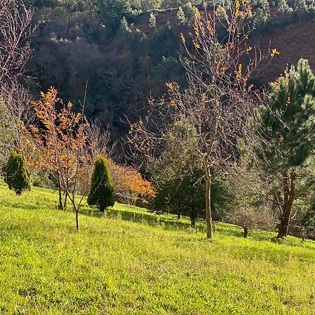 Finca Portizuelo Луарка Екстер'єр фото