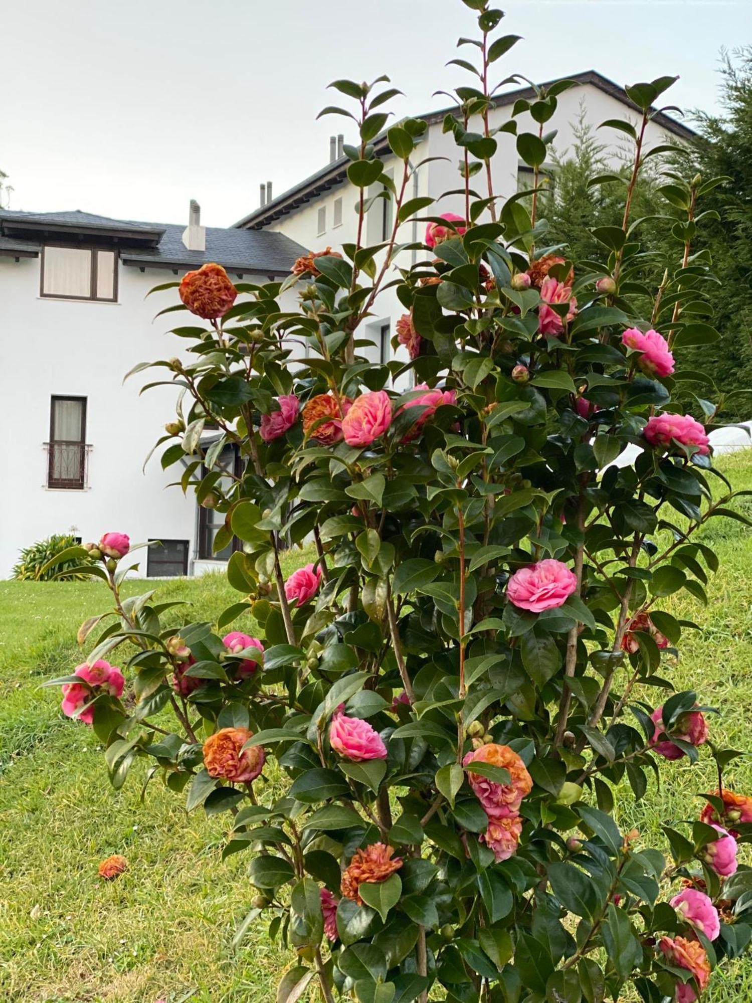 Finca Portizuelo Луарка Екстер'єр фото