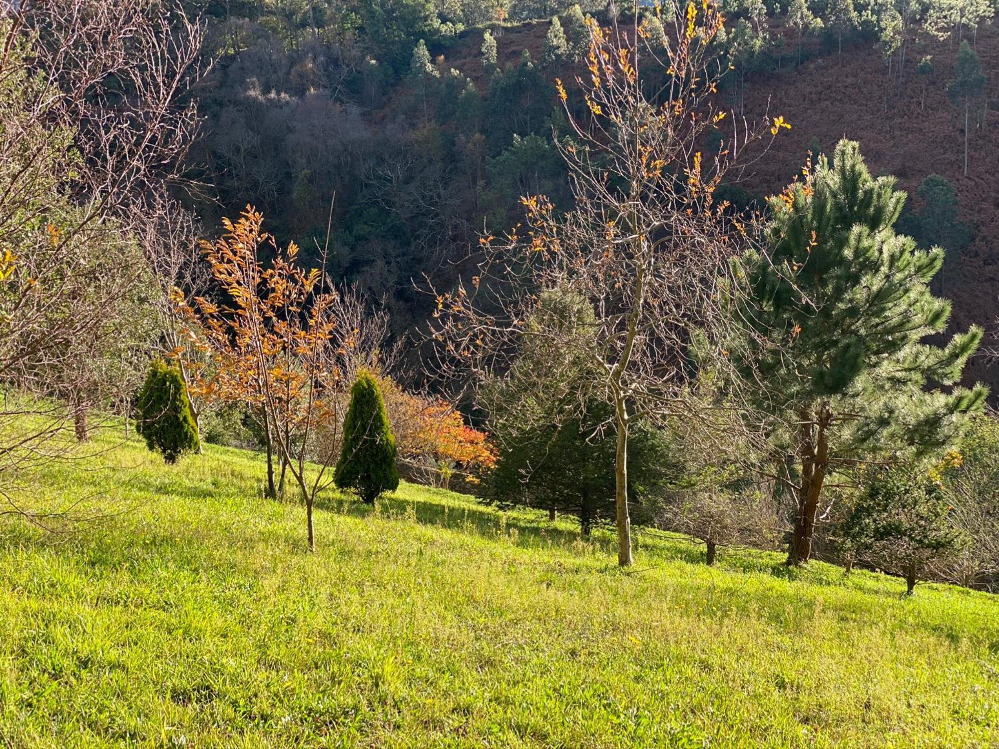 Finca Portizuelo Луарка Екстер'єр фото