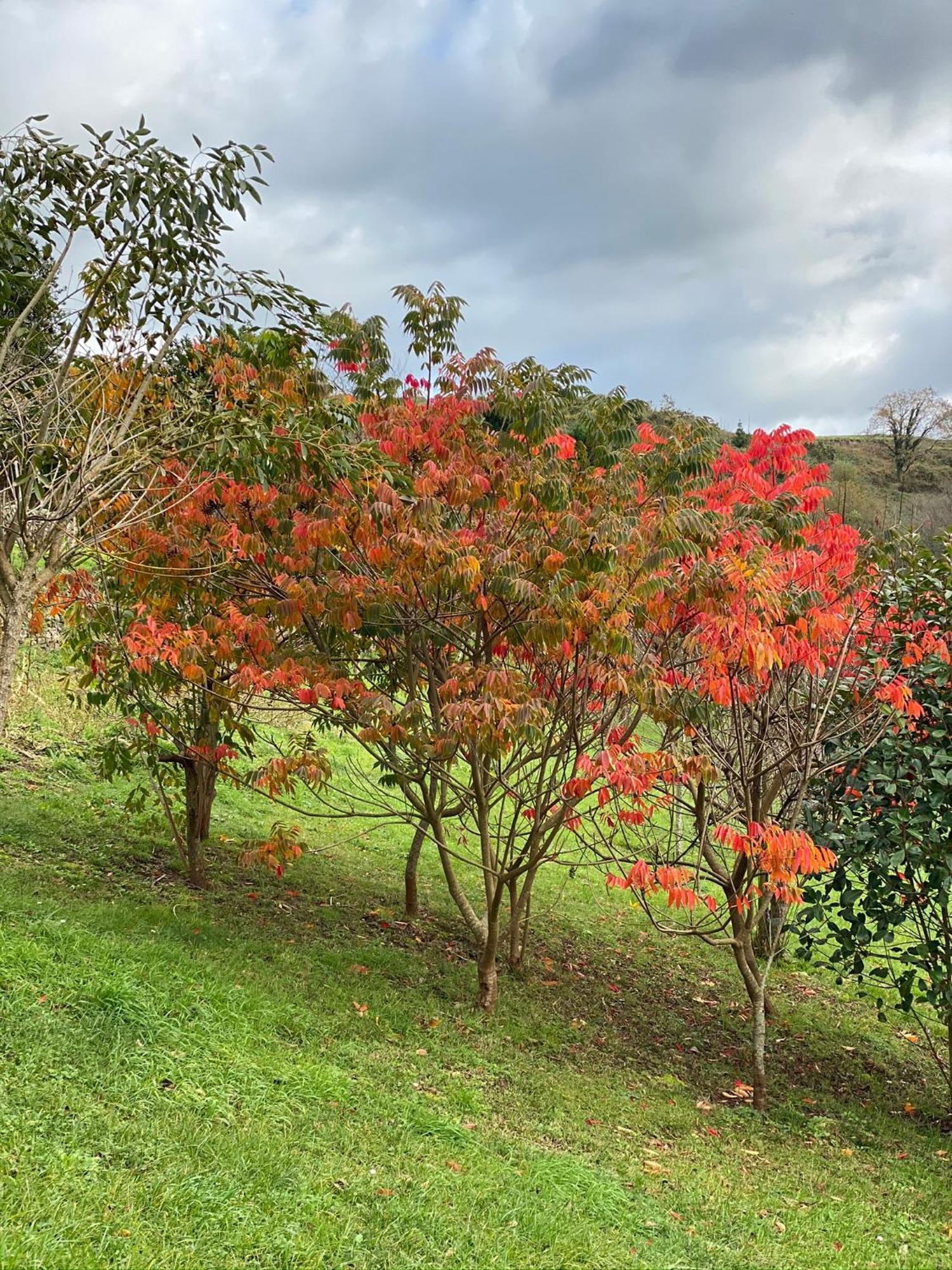 Finca Portizuelo Луарка Екстер'єр фото