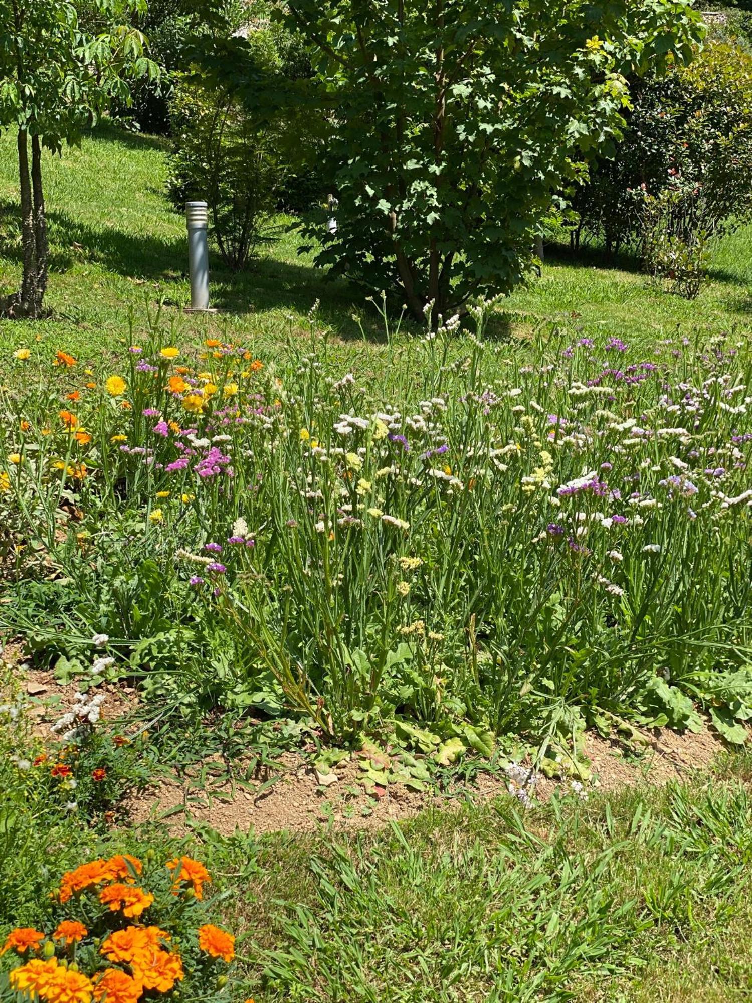 Finca Portizuelo Луарка Екстер'єр фото