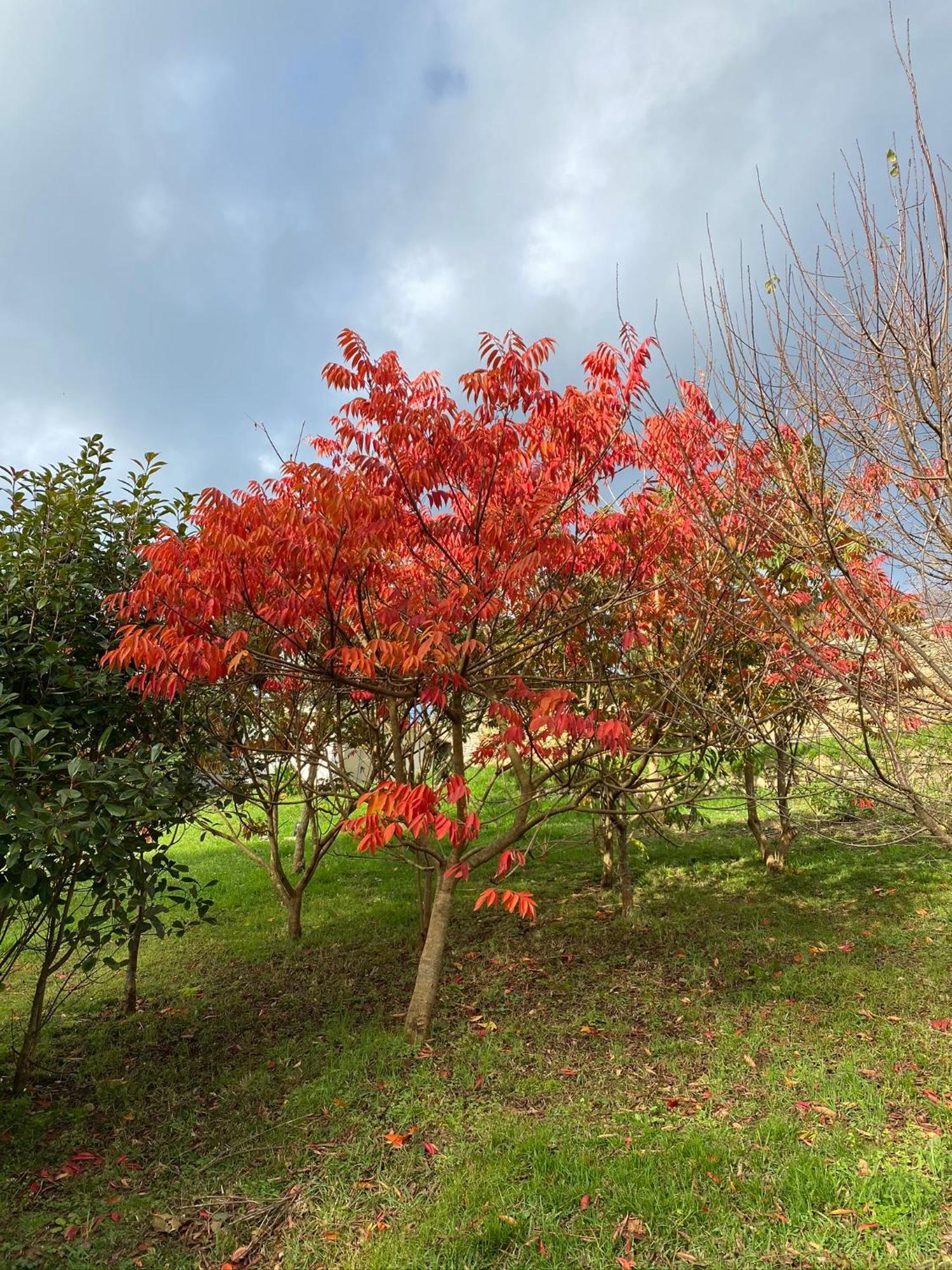 Finca Portizuelo Луарка Екстер'єр фото