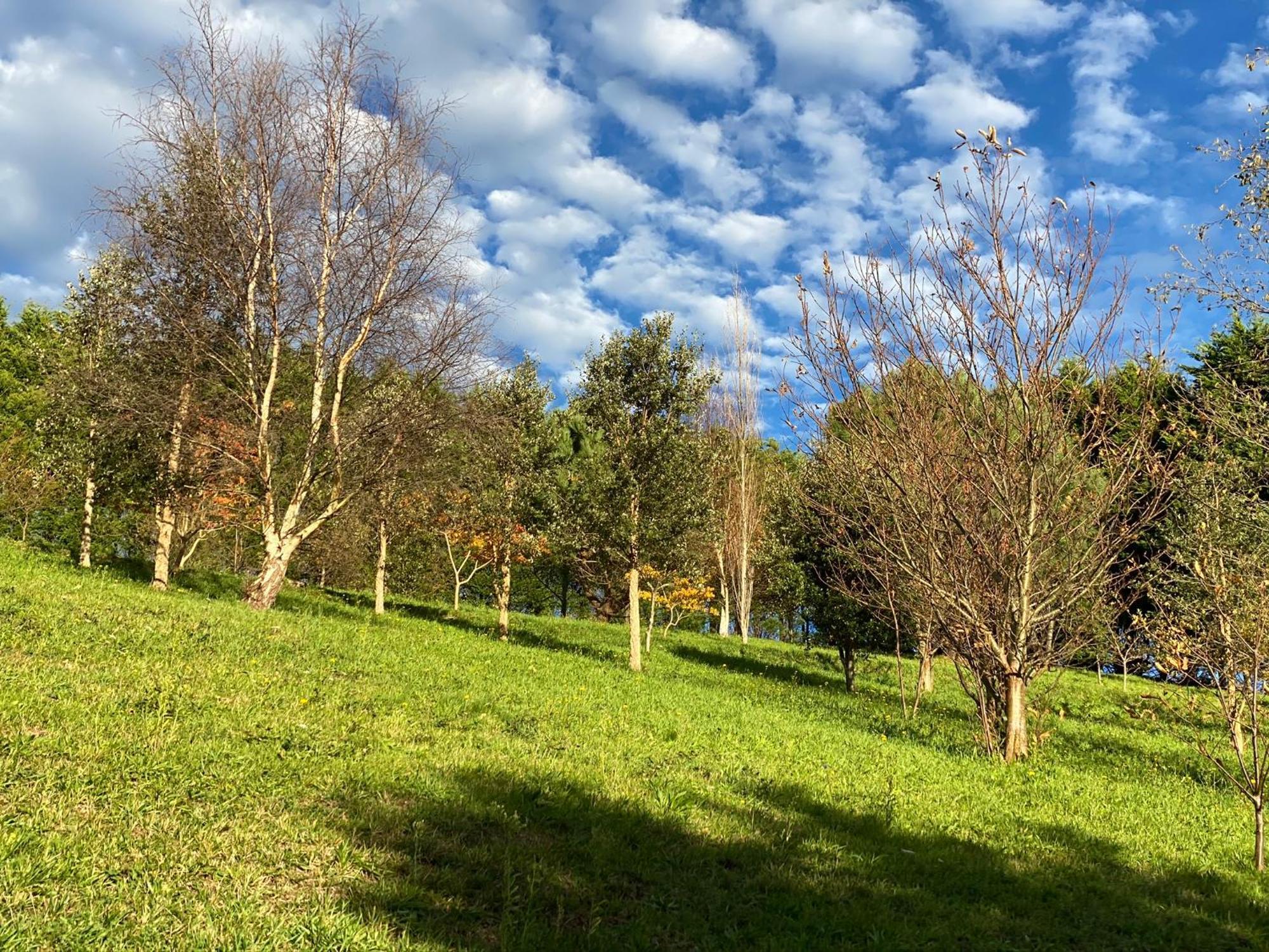 Finca Portizuelo Луарка Екстер'єр фото