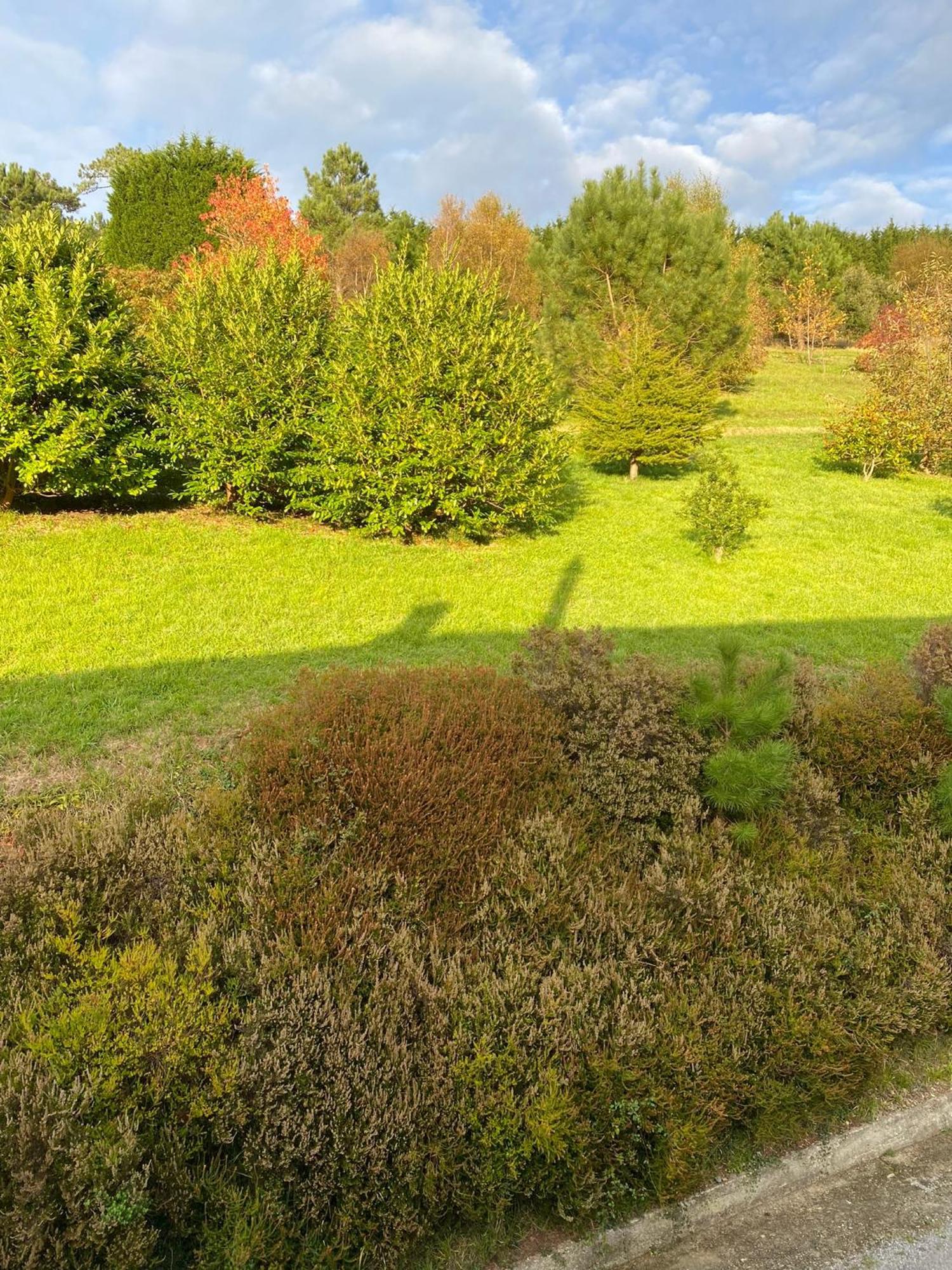 Finca Portizuelo Луарка Екстер'єр фото