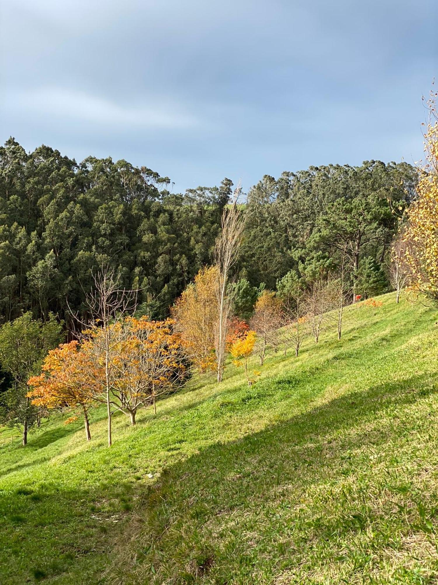 Finca Portizuelo Луарка Екстер'єр фото