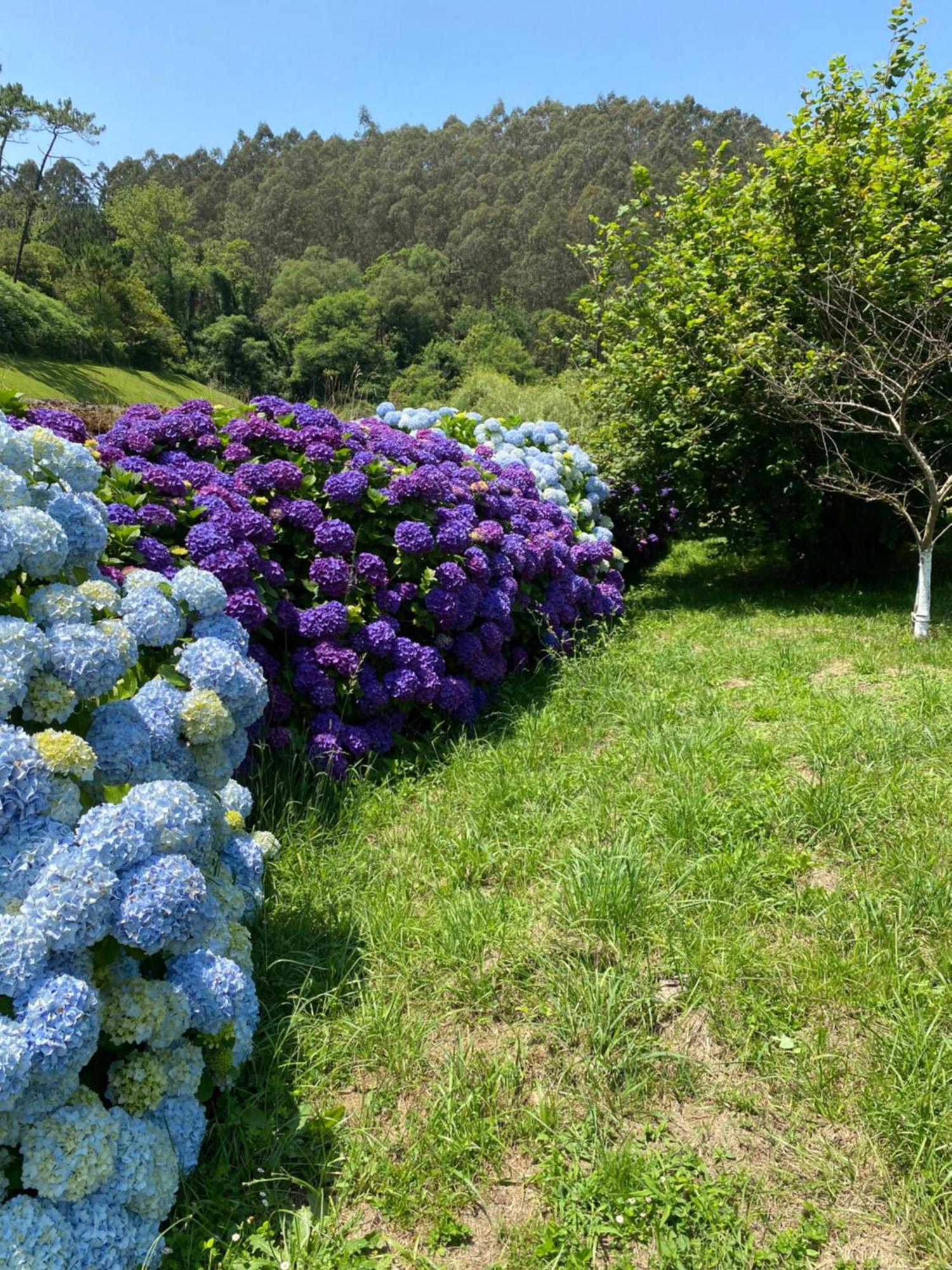 Finca Portizuelo Луарка Екстер'єр фото