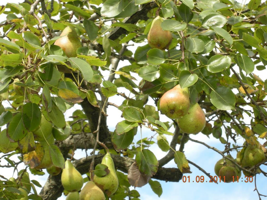 Finca Portizuelo Луарка Екстер'єр фото