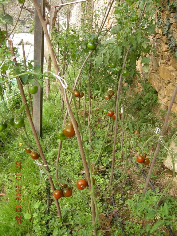 Finca Portizuelo Луарка Екстер'єр фото