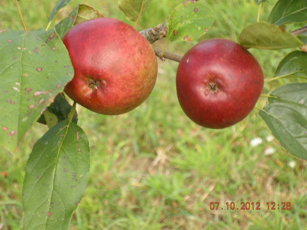 Finca Portizuelo Луарка Екстер'єр фото