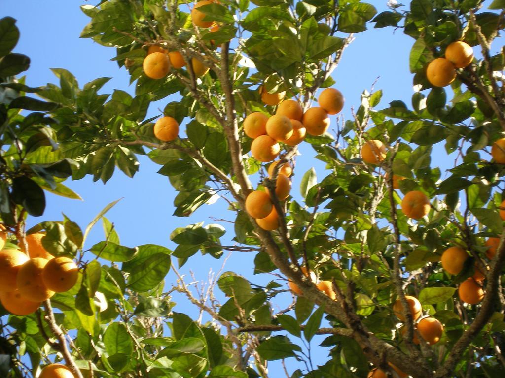 Finca Portizuelo Луарка Екстер'єр фото